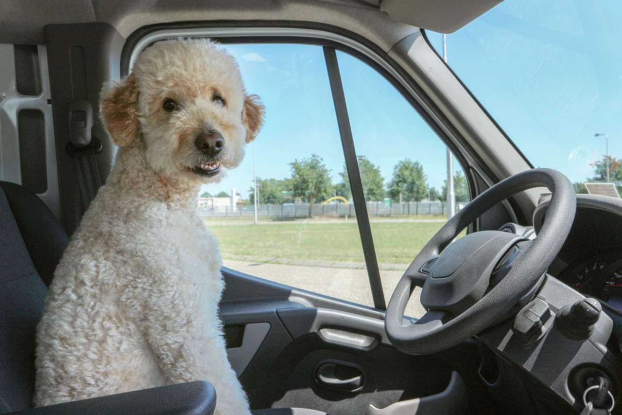 7 sfaturi pentru o parcare laterală perfectă