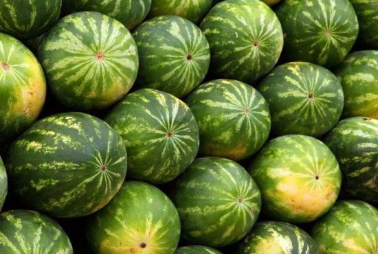 7 metode pentru a recunoaşte pepenii adevăraţi de Dăbuleni