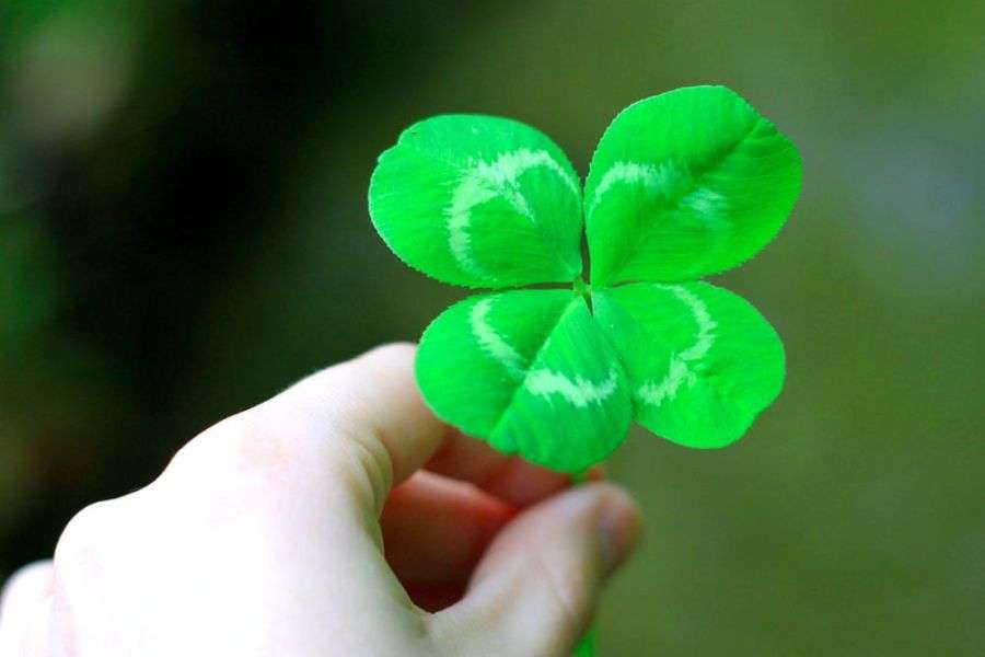 7 indicii că ești un român norocos