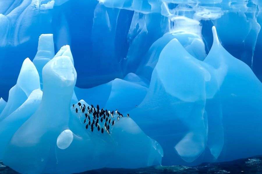 7 lucruri fascinante despre continentul îngheţat, Antarctica