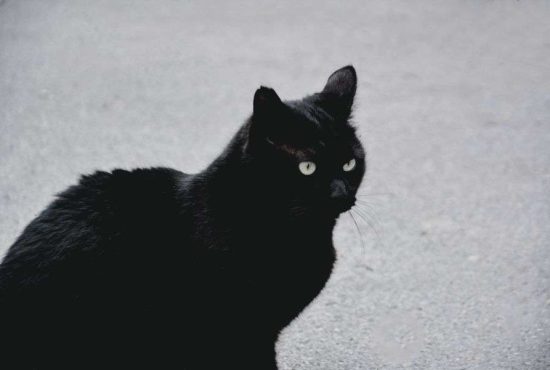 7 superstiții adaptate la vremurile prezente