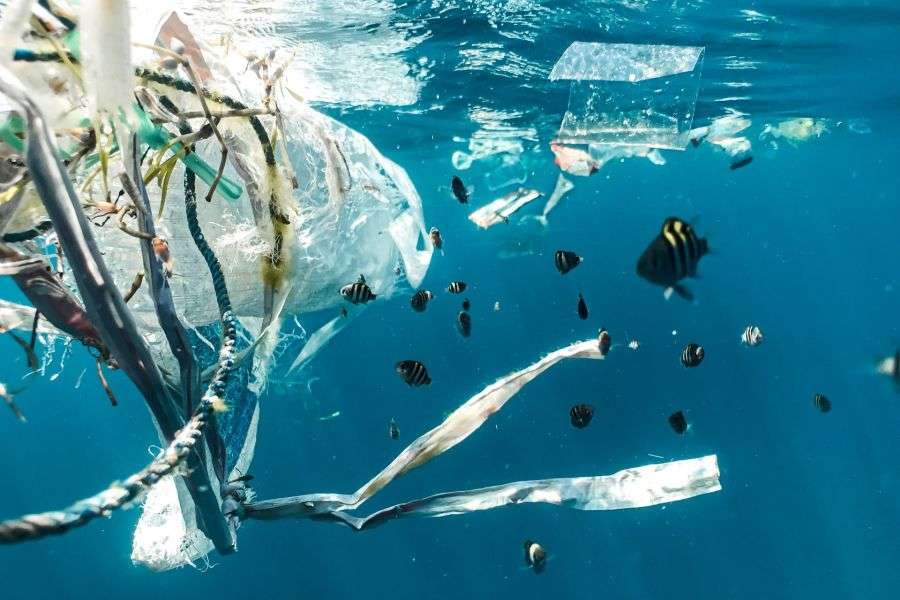7 soluții ecologice care trebuie implementate de urgență în România