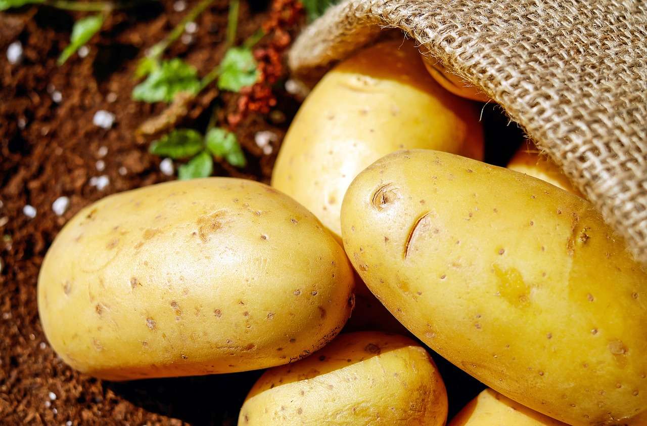 7 sfaturi culinare cu și despre cartofi