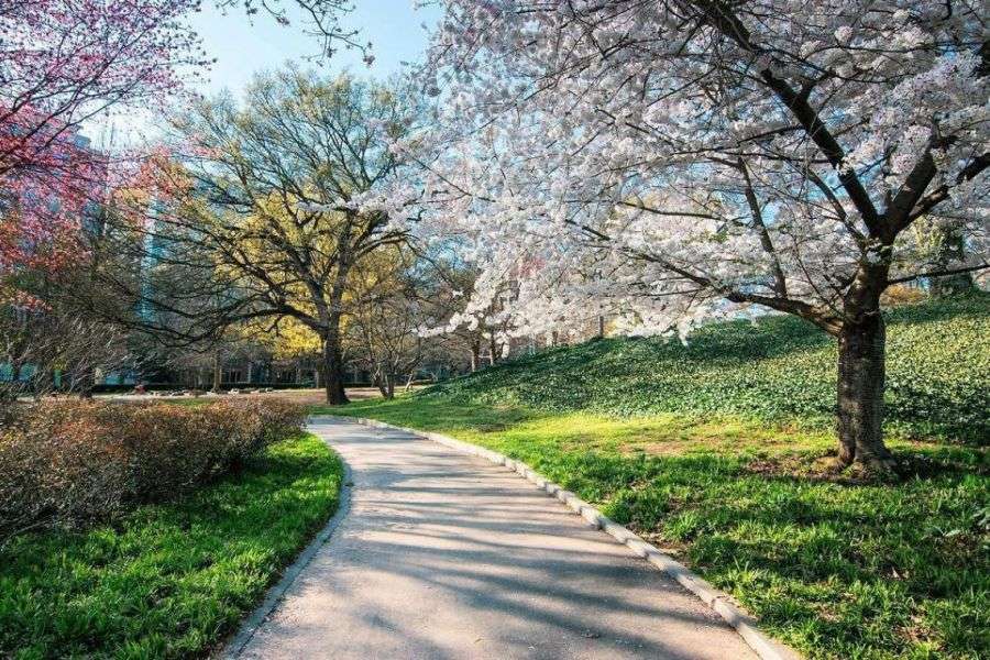 7 semne că a venit în sfârşit primăvara