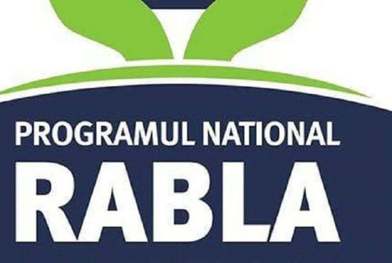 Alte 7 programe Rabla care ar trebui să existe în România