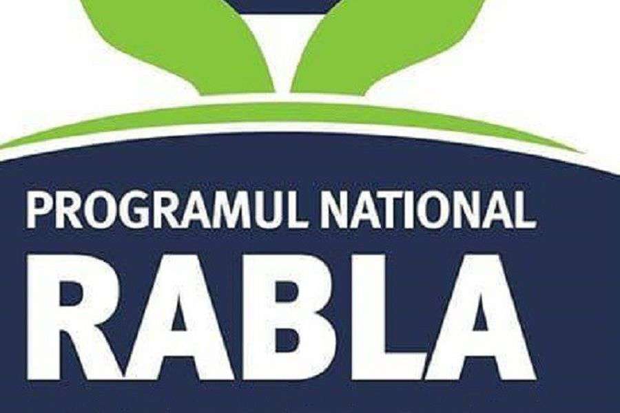 Alte 7 programe Rabla care ar trebui să existe în România