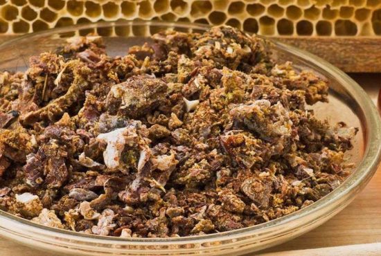 7 lucruri esențiale despre propolis