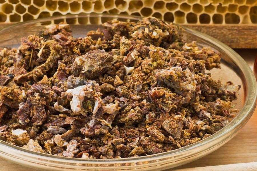 7 lucruri esențiale despre propolis