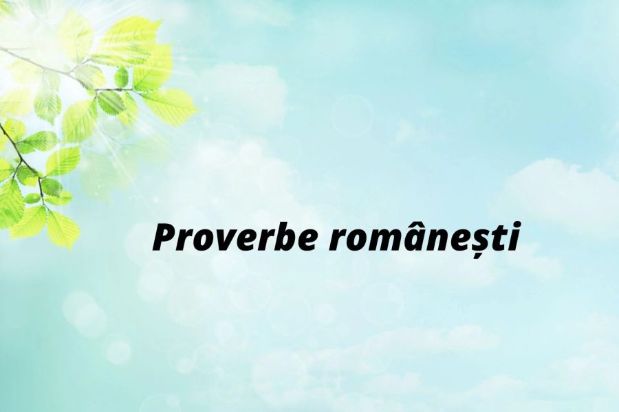 7 expresii și proverbe românești care ar trebui aduse la zi