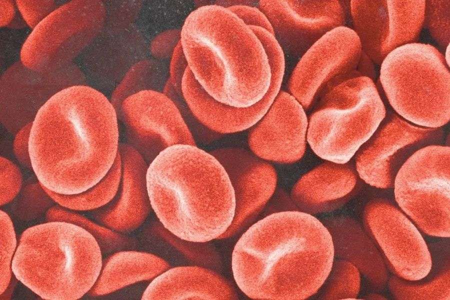 7 grupe de sânge românești de care n-ai auzit