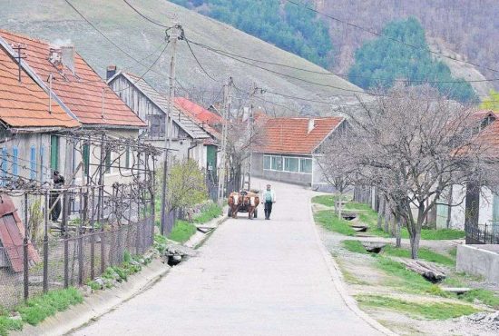 7 idei de business ideale pentru mediul rural