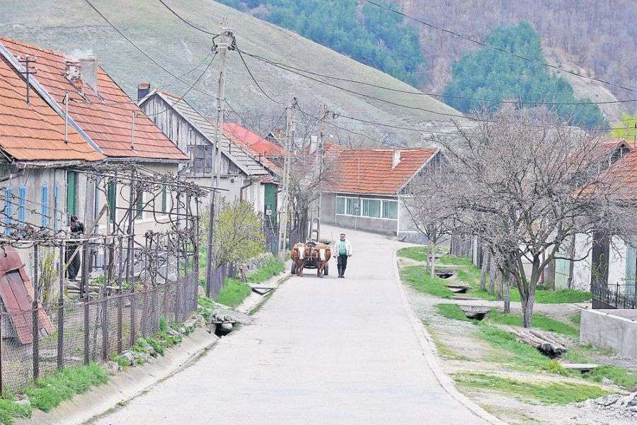 7 idei de business ideale pentru mediul rural