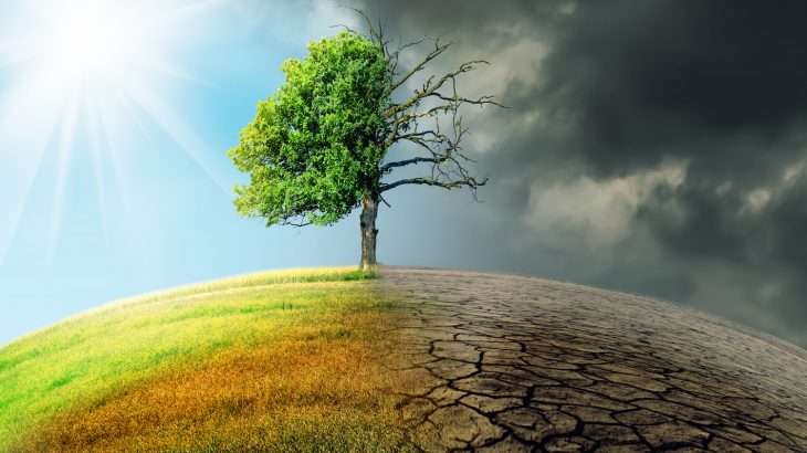 7 lucruri pe care trebuie să le știi despre schimbările climatice