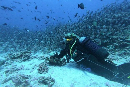 7 sfaturi utile pentru cei care fac scuba diving