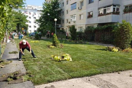 7 destinații utile pentru spațiile verzi de lângă bloc