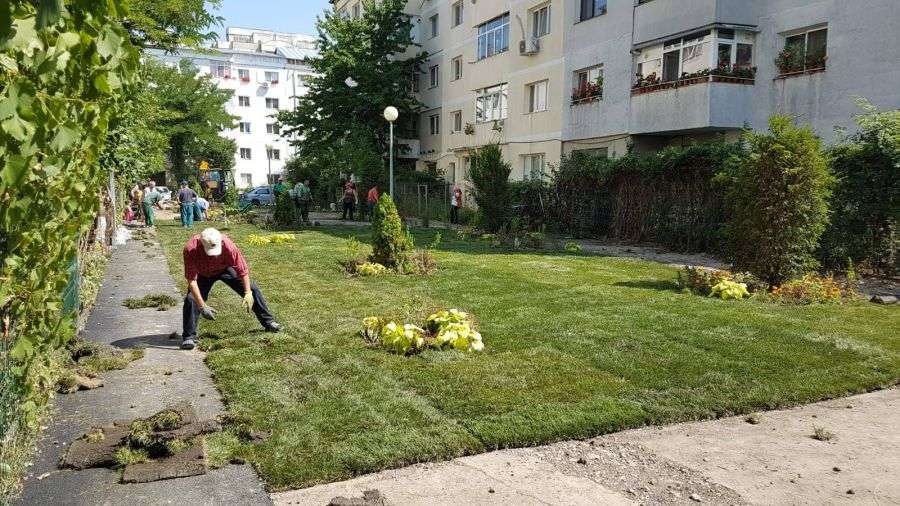 7 destinații utile pentru spațiile verzi de lângă bloc