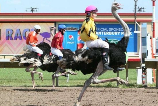 7 competiții care ar trebui inventate, dacă nu cumva sunt deja