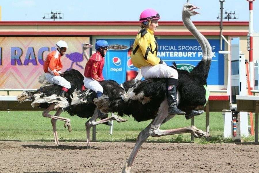 7 competiții care ar trebui inventate, dacă nu cumva sunt deja