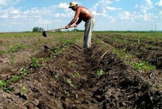 7 lucruri despre românii mileniali de la sat