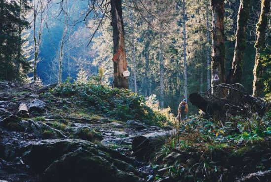 7 sfaturi utile pentru turiștii care merg la munte