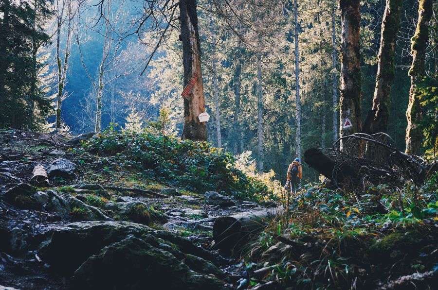 7 sfaturi utile pentru turiștii care merg la munte