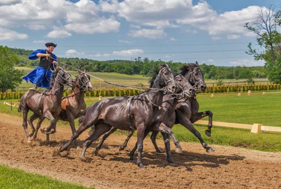 7 vocale din limba maghiară de care nu ai auzit