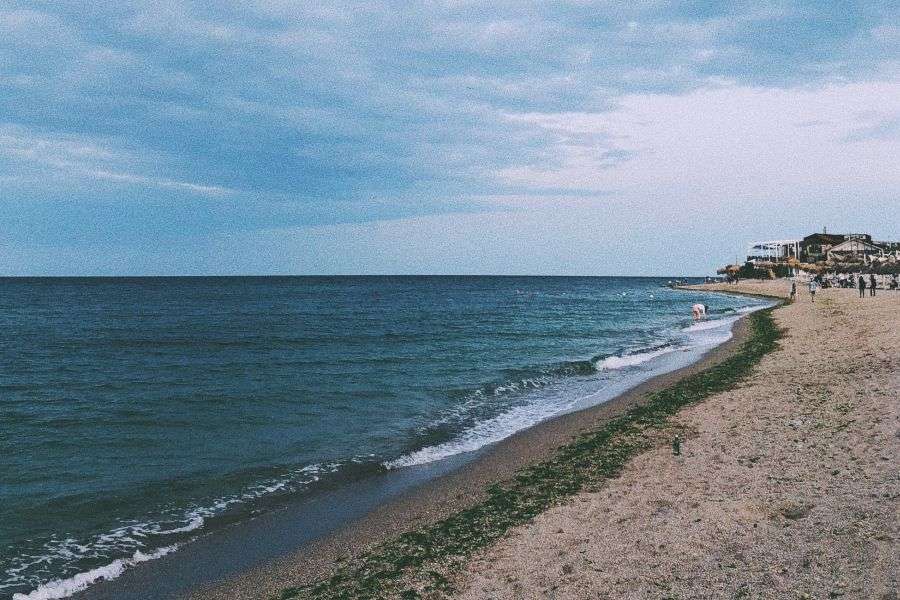 7 motive pentru care Vama nu mai e ce a fost