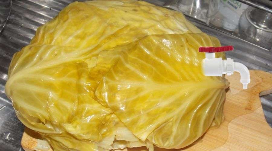 7 fructe şi legume modificate genetic de care sigur n-ai auzit