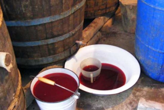 7 sfaturi pentru românii care fac vin