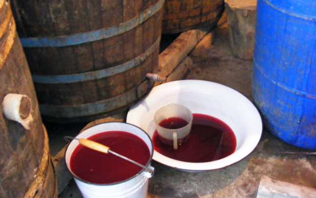 7 sfaturi pentru românii care fac vin