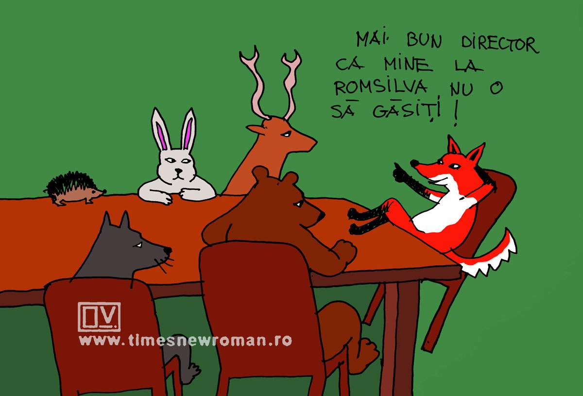 ROMSILVA-fabulă