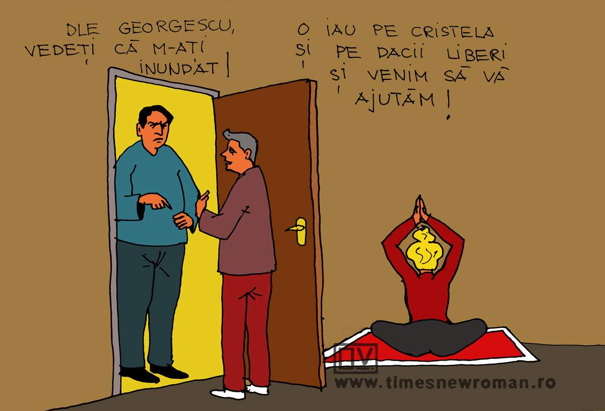 Vecini buni