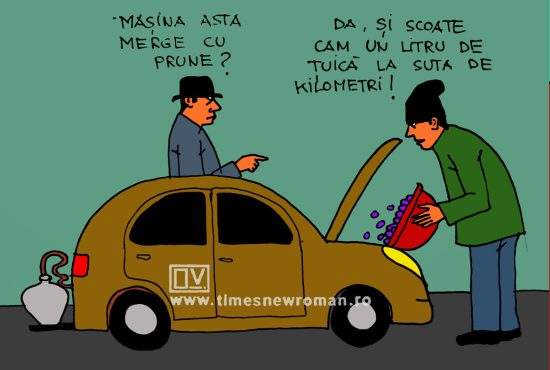 Dacia Autumn