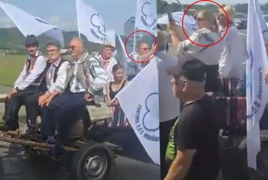 Proprietarul calului care a tras căruța cu Șoșoacă, acuzat de cruzime împotriva animalelor