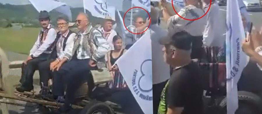 Proprietarul calului care a tras căruța cu Șoșoacă, acuzat de cruzime împotriva animalelor