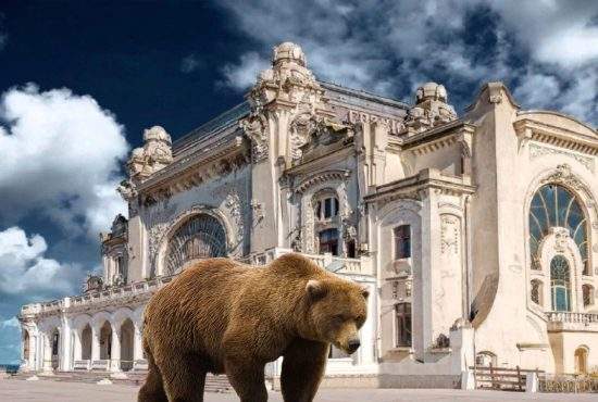 Panică la Constanţa după ce un angajat ISU a auzit că vine Ursula şi a dat Ro-Alert de urs