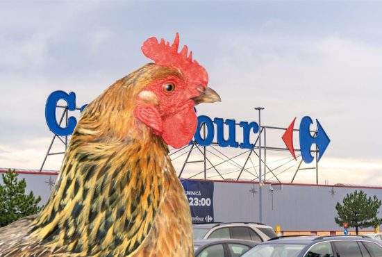 Francezii de la Carrefour se retrag din România, sătui de gluma cu “notre poule dans votre cour”