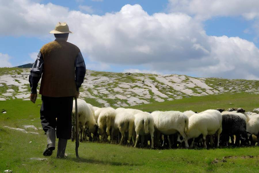 Un român care a urmat toate sfaturile de viață sănătoasă trăiește într-un bordei ca un iobag
