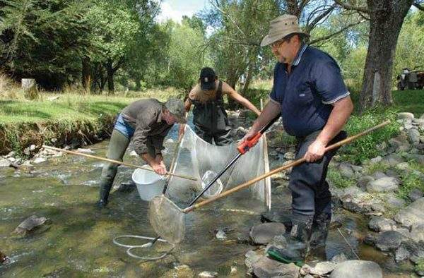 Nouă regulă la pescuit. Dacă ai reținut în plus, îl mănânci pe loc, crud, în fața jandarmilor