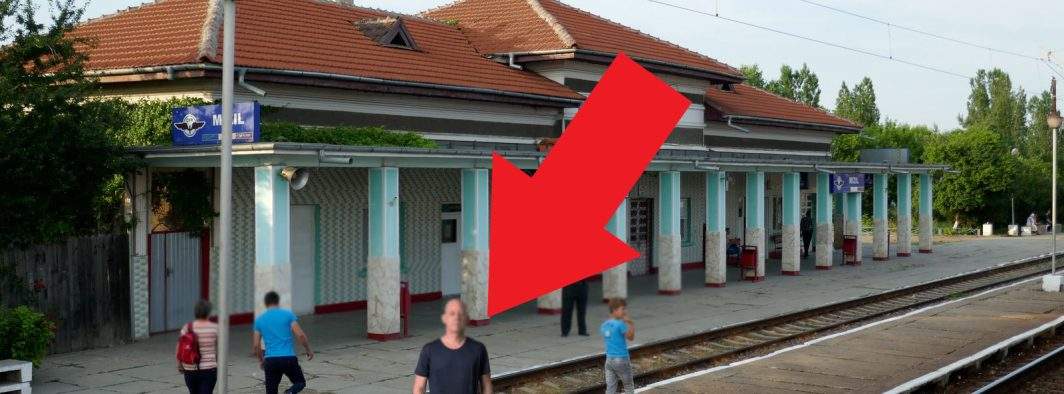 Monument al naturii! La Mizil locuieşte singurul chel cu păduchi al planetei