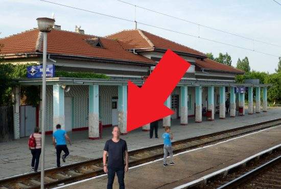 Monument al naturii! La Mizil locuieşte singurul chel cu păduchi al planetei