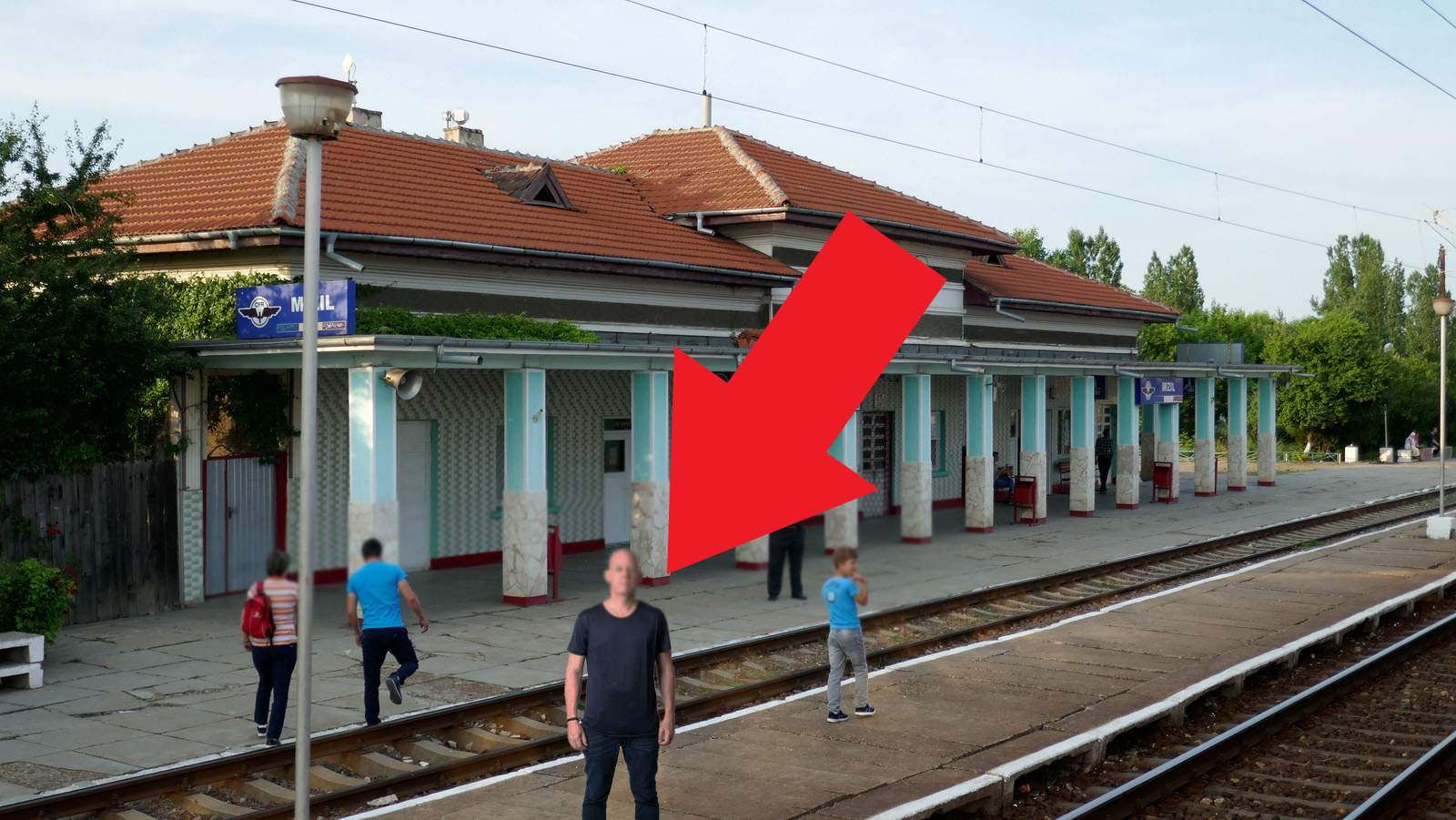 Monument al naturii! La Mizil locuieşte singurul chel cu păduchi al planetei