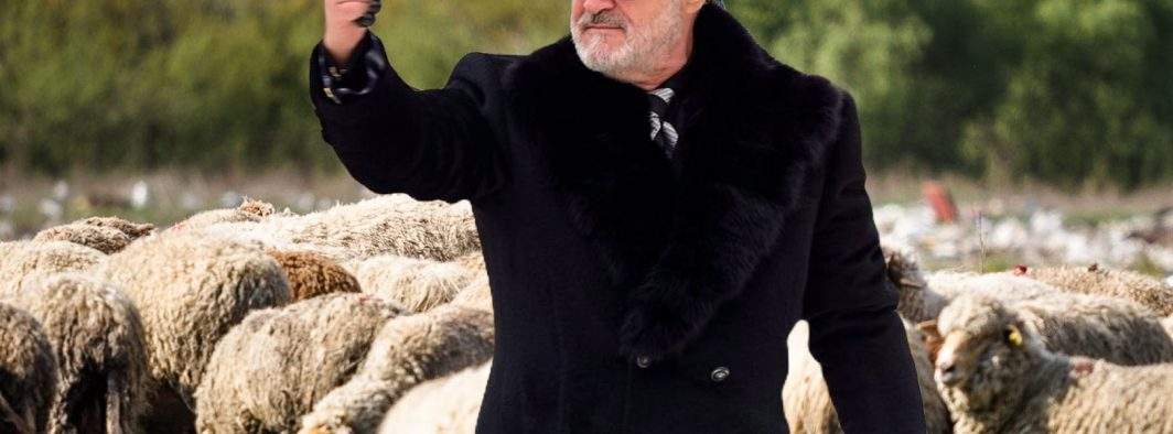 Becali, controlat de ANAF! Au descoperit că plătește oile mai bine decât jucătorii FCSB