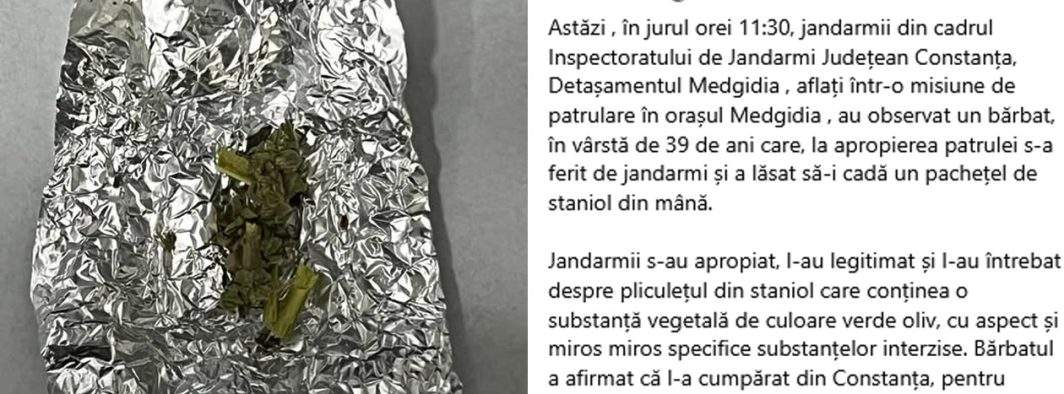 Penibil! Jandarmeria s-a lăudat pe net cu o captură de leuştean, dar de fapt era doar pătrunjel