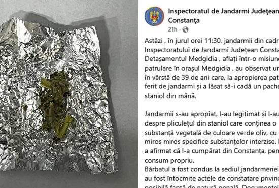 Penibil! Jandarmeria s-a lăudat pe net cu o captură de leuştean, dar de fapt era doar pătrunjel