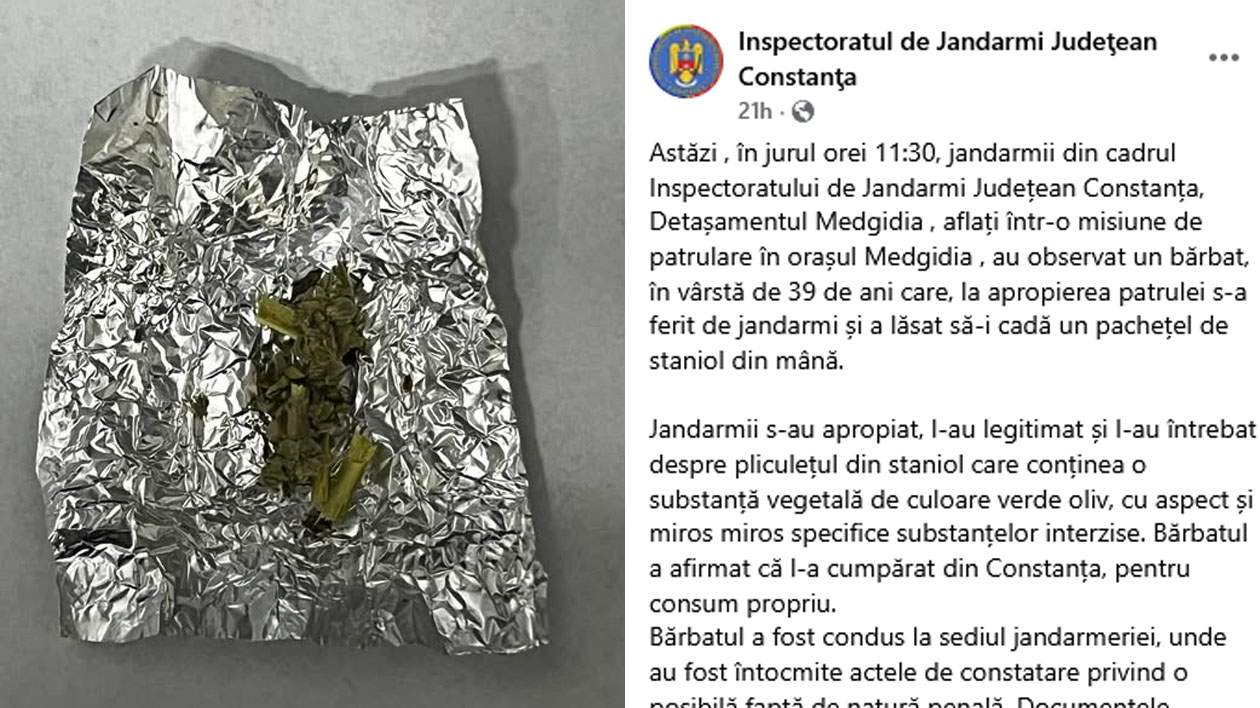 Penibil! Jandarmeria s-a lăudat pe net cu o captură de leuştean, dar de fapt era doar pătrunjel