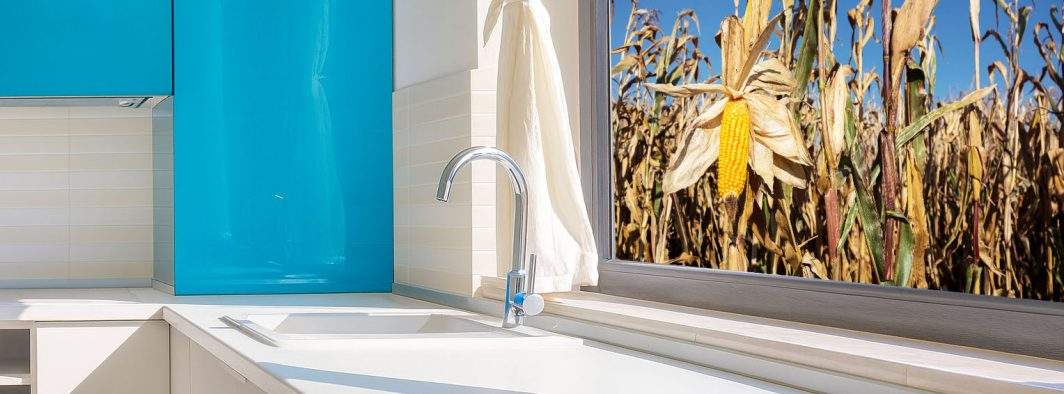 Trântori! Rezidenții din Greenfield nu și-au cules nici până acum porumbul din fața geamului