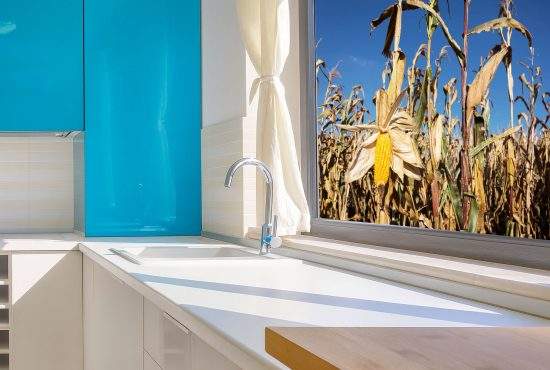 Trântori! Rezidenții din Greenfield nu și-au cules nici până acum porumbul din fața geamului