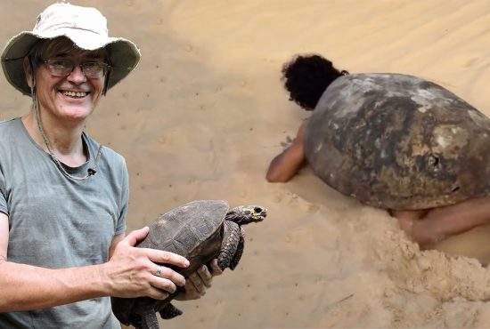 Țestoasa cu degete opozabile din Dobrogea era de fapt un bețiv care venea târâș de la birt