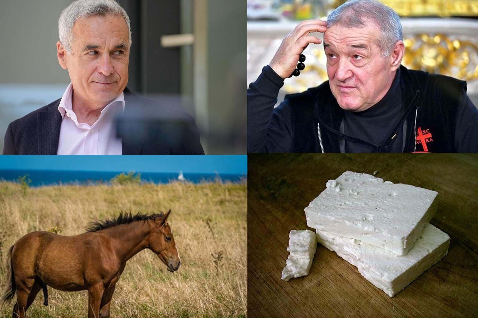 Becali anunţă că îl susţine din nou pe Georgescu. S-au înţeles să facă brânză de cal